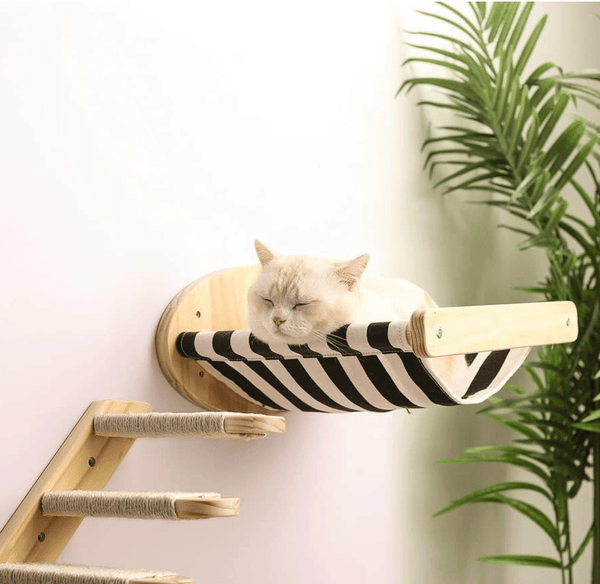 Cat hammock wall - Sweetypaws.com