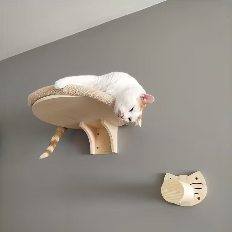 Wall mounted cat beds - Sweetypaws.com