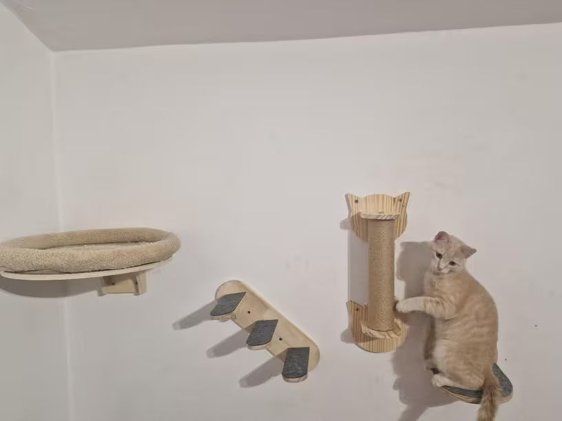 Small Catwall Scratchpost - Sweetypaws Catwall Elements