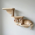 3 Platter Steps- Sweetypaws Catwall Elements - Sweetypaws.com