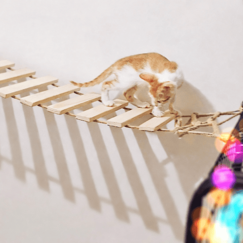 50 X 25cm Medium Wood Cat Bridge - Sweetypaws.com