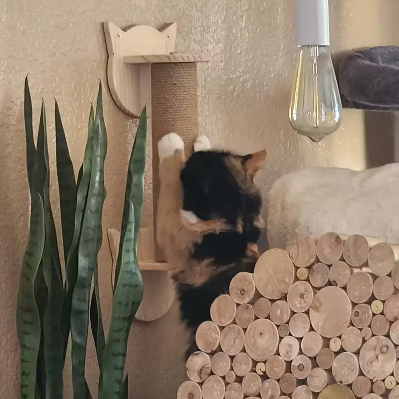 Small Catwall Scratchpost - Sweetypaws Catwall Elements