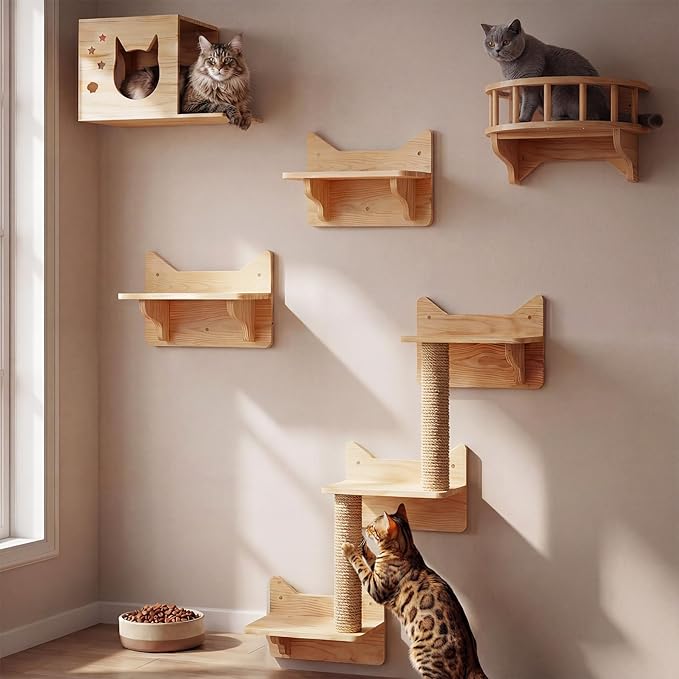 5-Piece Catwall Set