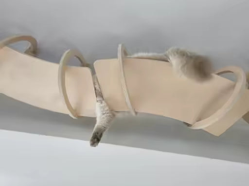 Ceiling Walkway - Sweetypaws Catwall Elements
