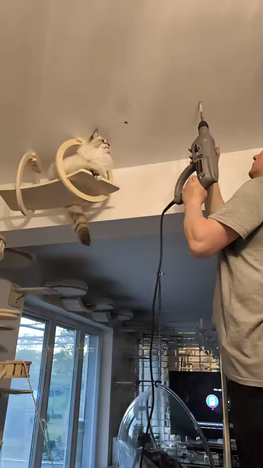Ceiling Walkway - Sweetypaws Catwall Elements