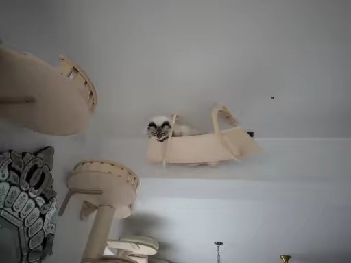 Ceiling Walkway - Sweetypaws Catwall Elements