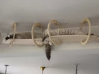 Ceiling Walkway - Sweetypaws Catwall Elements