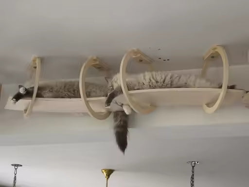 Ceiling Walkway - Sweetypaws Catwall Elements
