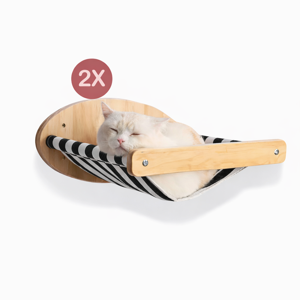 Multi-Cat Harmony Bundle – Katzenwand-Set für mehrere Katzen