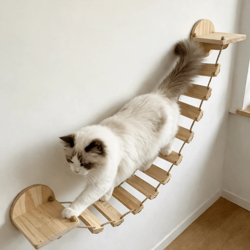 Katzen Hängebrücke für Kletterwand — Seilbrücke wandmontiert von Sweetypaws