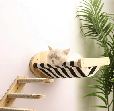 Katzen Hängematte wandmontiert — Sweetypaws Lieblingsplatz an der selbst gebauten Katzenwand