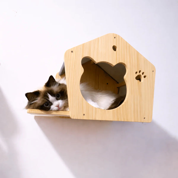 Katzen Wandbett und Höhle — wandmontierter Schlafplatz für die Katzenwand
