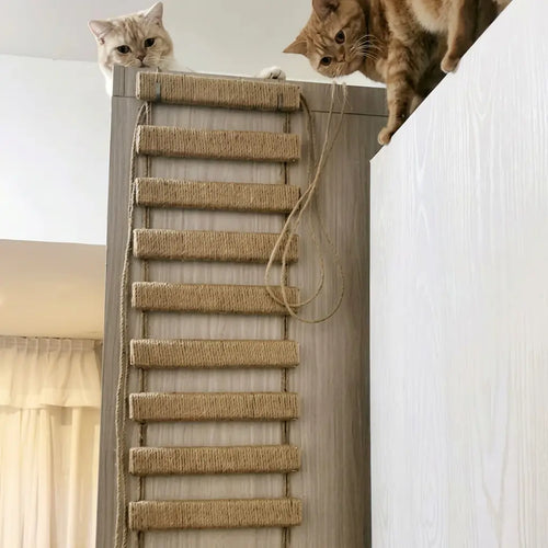 50 X 25cm Medium Ladder Scratcher