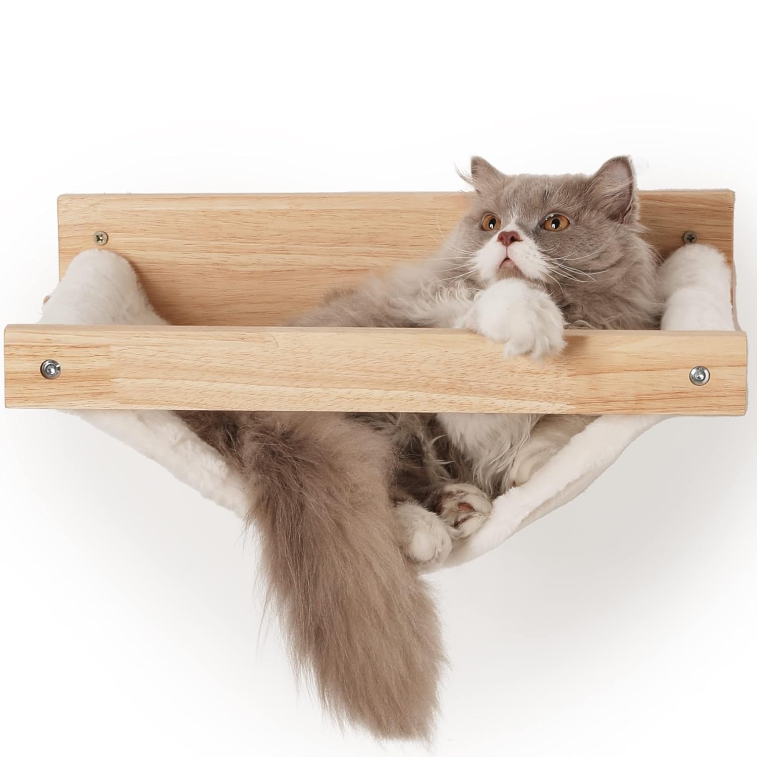 Graue und weiße Langhaarkatze liegt entspannt in Katzenwand Hängematte aus naturbelassenem Massivholz mit weichem Plüsch-Bezug, Soft Hammock Wandmontage