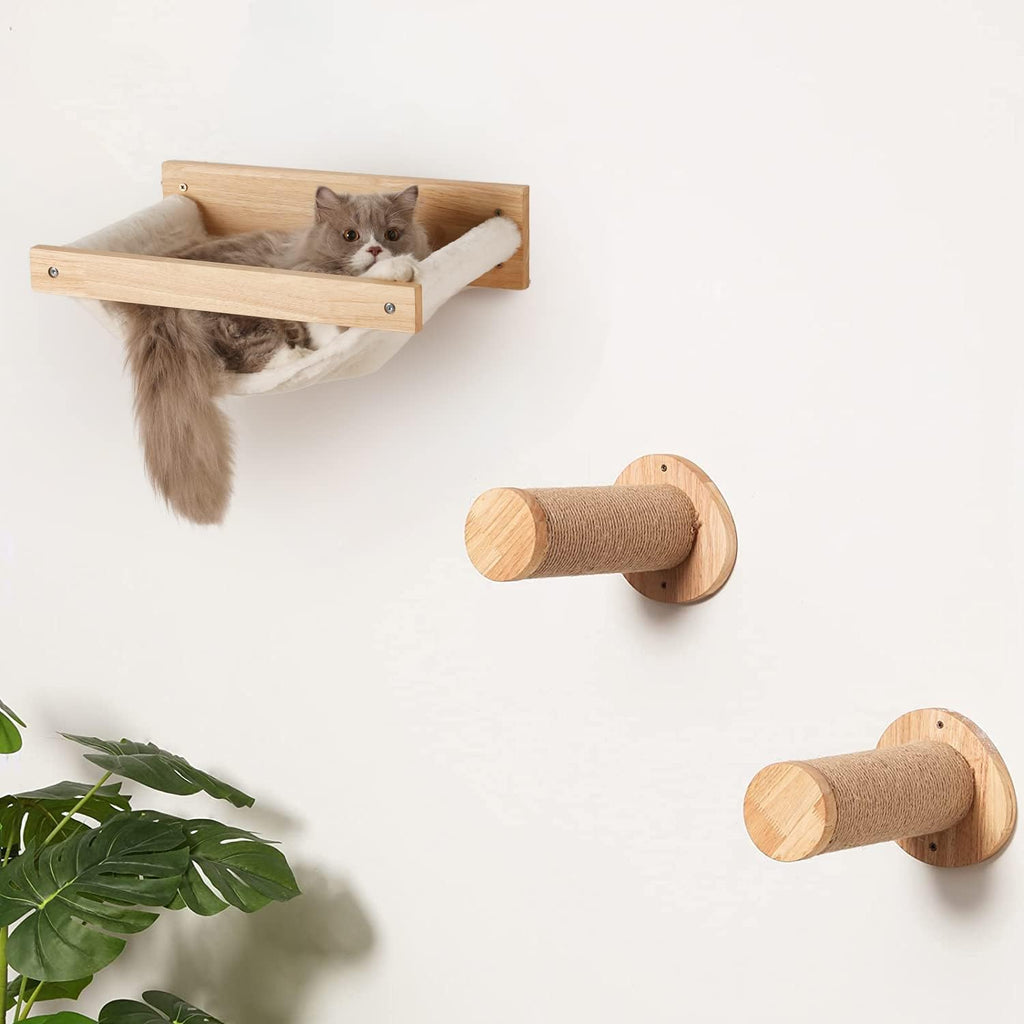 Graue Langhaarkatze liegt in Katzenwand Hängematte aus Massivholz, daneben zwei runde Sisal-Kratzelemente zur Wandmontage, Wohnzimmer mit Zimmerpflanze