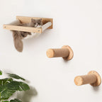 Graue Langhaarkatze liegt in Katzenwand Hängematte aus Massivholz, daneben zwei runde Sisal-Kratzelemente zur Wandmontage, Wohnzimmer mit Zimmerpflanze