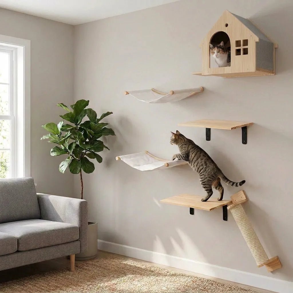 Katze klettert an Katzenwand Set fuer kleine Waende mit Katzenhoehle, zwei Haengematten und Ablagen aus Massivholz, zweite Katze schaut aus Katzenhoehle