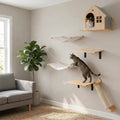 Katze klettert an Katzenwand Set fuer kleine Waende mit Katzenhoehle, zwei Haengematten und Ablagen aus Massivholz, zweite Katze schaut aus Katzenhoehle