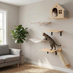 Katze klettert an Katzenwand Set fuer kleine Waende mit Katzenhoehle, zwei Haengematten und Ablagen aus Massivholz, zweite Katze schaut aus Katzenhoehle