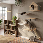 Drei Katzen an Katzenwand Set fuer kleine Waende mit Katzenhoehle, Haengematte und Ablagen aus Massivholz, eine Katze schlaeft in Haengematte, im Loft mit Fliesenboden