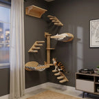 Katzenwand Set fuer kleine Wohnungen in Eckmontage mit Sisal-Kletterstufen, Kratzsaeule und zwei gestreiften Haengeliegen an anthrazitfarbener Wand, dreifarbige Katze klettert