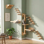 Katzenwand Set fuer kleine Wohnungen in Eckmontage mit Sisal-Kletterstufen, Kratzsaeule und zwei gestreiften Haengeliegen aus Massivholz, getigerte Katze auf Plattform