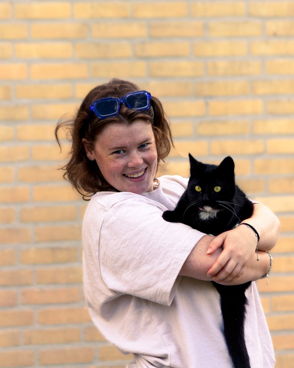 Nils und Loki auf unserer ersten Katzenwand