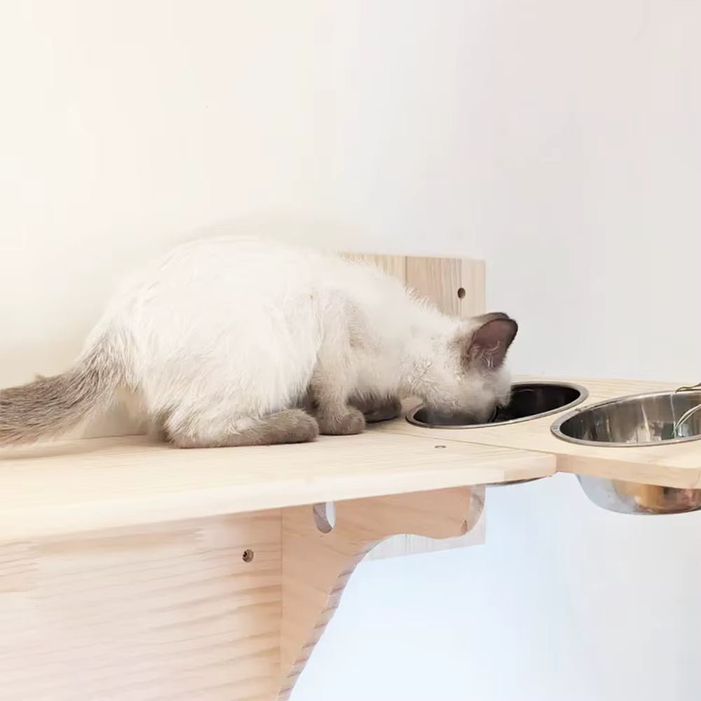 Wall Feeder- PeakPine DIY Collection