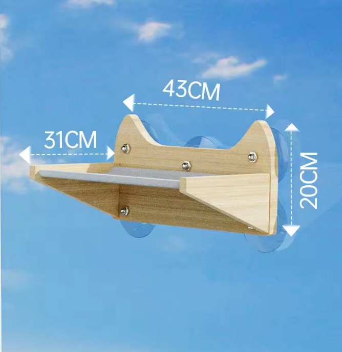 Window Shelf- Squishy Suck Collection