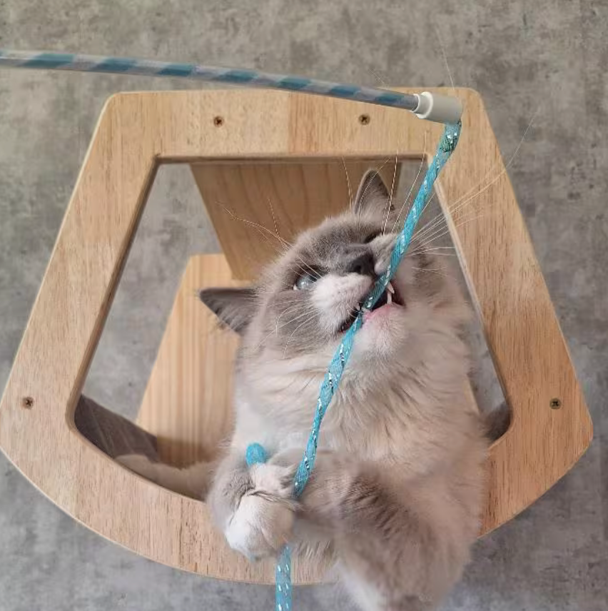 Open Cat Cave - Sweetypaws Catwall Elements