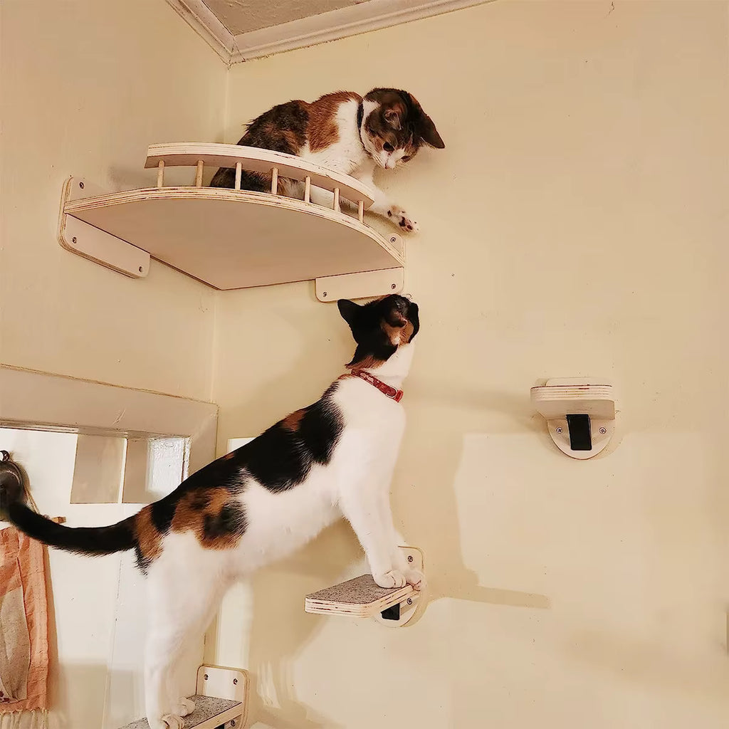 Trittstein – PinePeak DIY-Kollektion