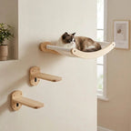 Sweetypaws Katzen Kletterwand Starter Set mit Hängematte — Katze entspannt auf Wandelement