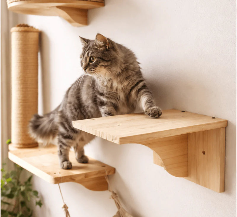 Sweetypaws Katzen Wandregal aus Kiefernholz — Basis jeder Katzen Kletterwand