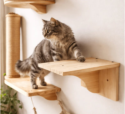 Sweetypaws Katzen Wandregal aus Kiefernholz — Basis jeder Katzen Kletterwand selber bauen