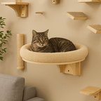 Cat Wall Bed Round - Sweetypaws Catwall Elements - Sweetypaws.com