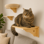 Cat Wall Shelf - Sweetypaws Catwall Elements - Sweetypaws.com