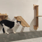 Catwall Scratchpost and Platter - Sweetypaws Catwall Elements - Sweetypaws.com