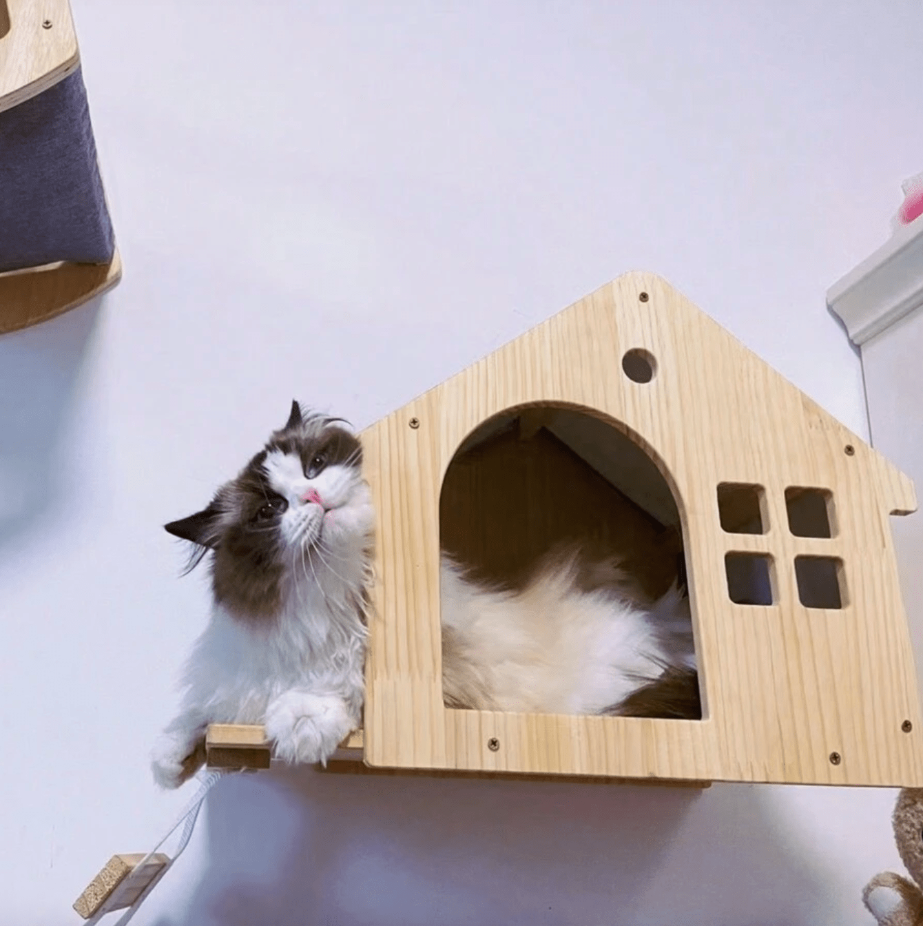 Cozy Cat Cave - Sweetypaws Catwall Elements - Sweetypaws.com