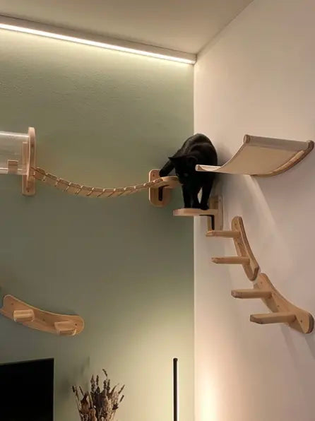 How others used this set: 5