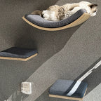 Half Bent Cat Bed - P - Sweetypaws Catwall Elements - Sweetypaws.com