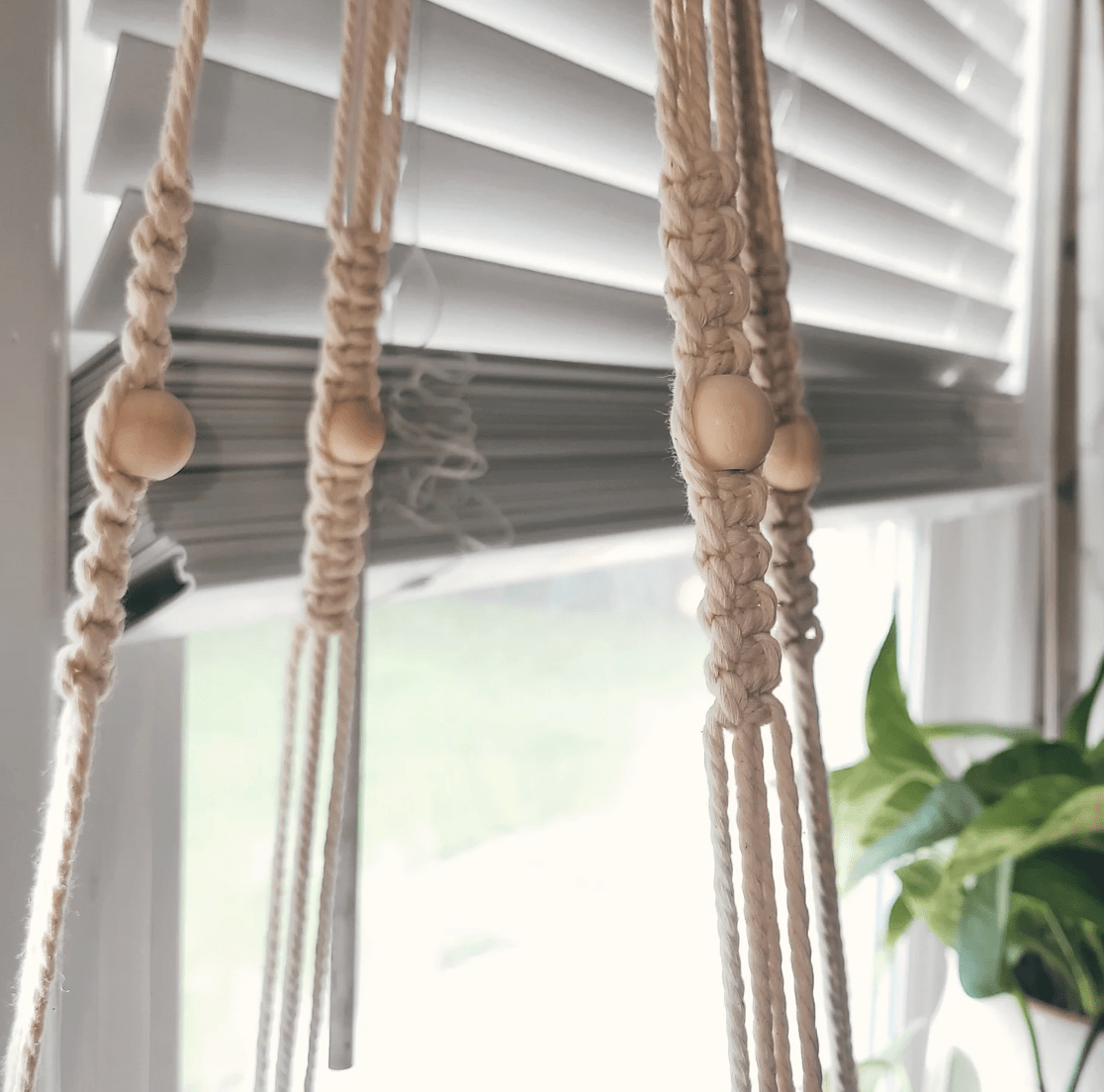 Hanging Cat Hammock - NEW Premium Collection - Sweetypaws.com