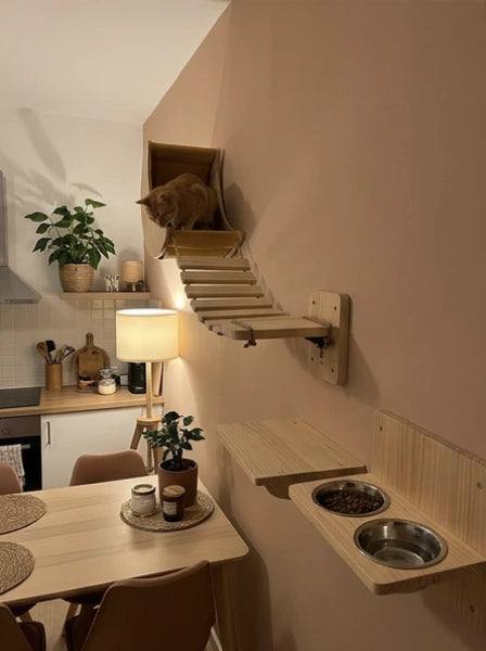 Katzen Entspannungswand mit Fressplatz und gemütlichen Ruheflächen