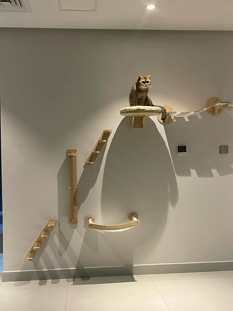 katzen-kletterwand-grosse-loesung-idee
