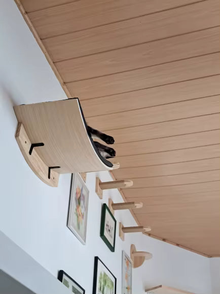 katzen-kletterwand-horizontal-an-der-wand
