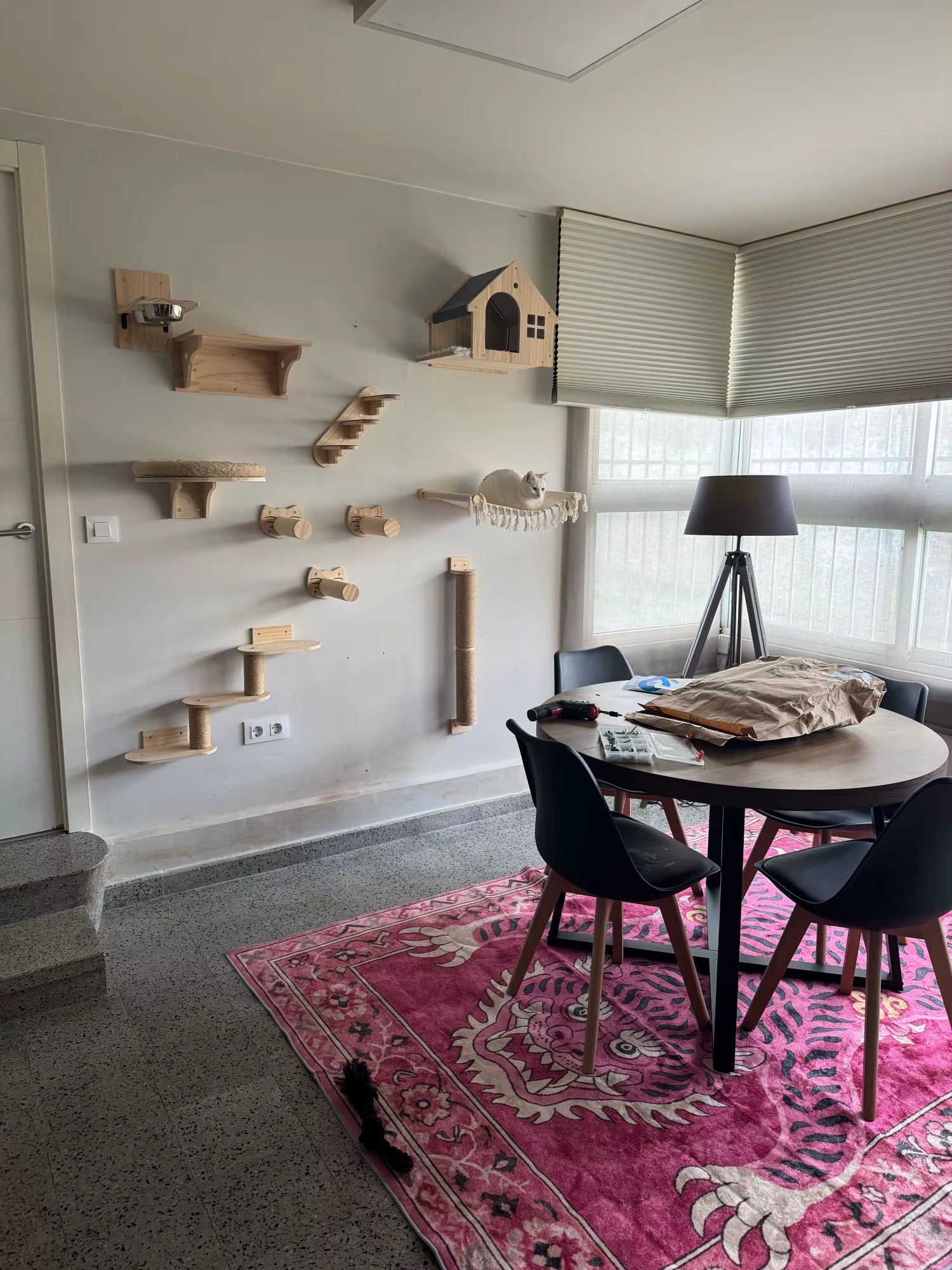 katzen-kletterwand-idee-im-wohnzimmer-an-der-wand
