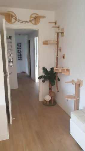 katzen-kletterwand-idee-ueber-der-tuer-ecke
