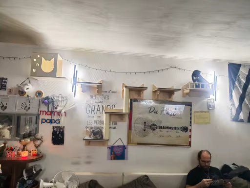 katzen-kletterwand-ideen-mancave