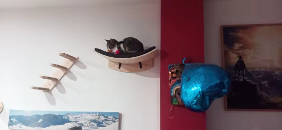 katzen-kletterwand-kleine-loesung-idee
