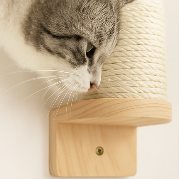 katzen-kletterwand-kratzbaum-mit-katze