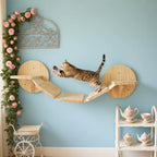 katzen-kletterwand-movement-plattform-mit-katze-02